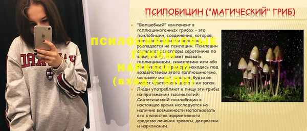 спайс Бородино