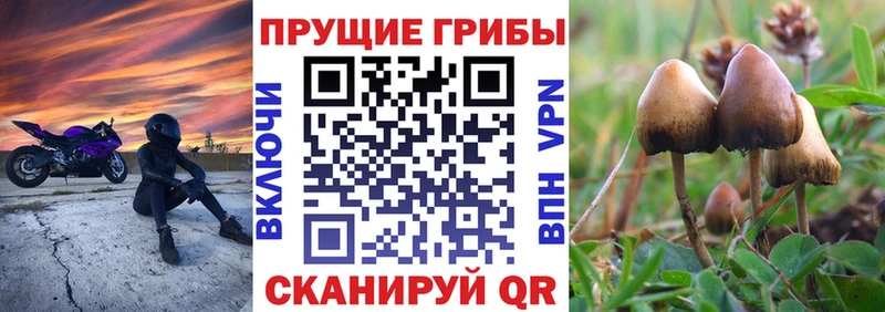 магазин продажи   ссылка на мегу зеркало  Псилоцибиновые грибы Psilocybine cubensis  Смоленск 